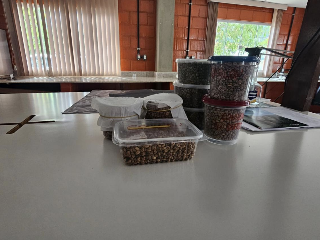 Captura de Tela 2025 12 10 as 17.08.51