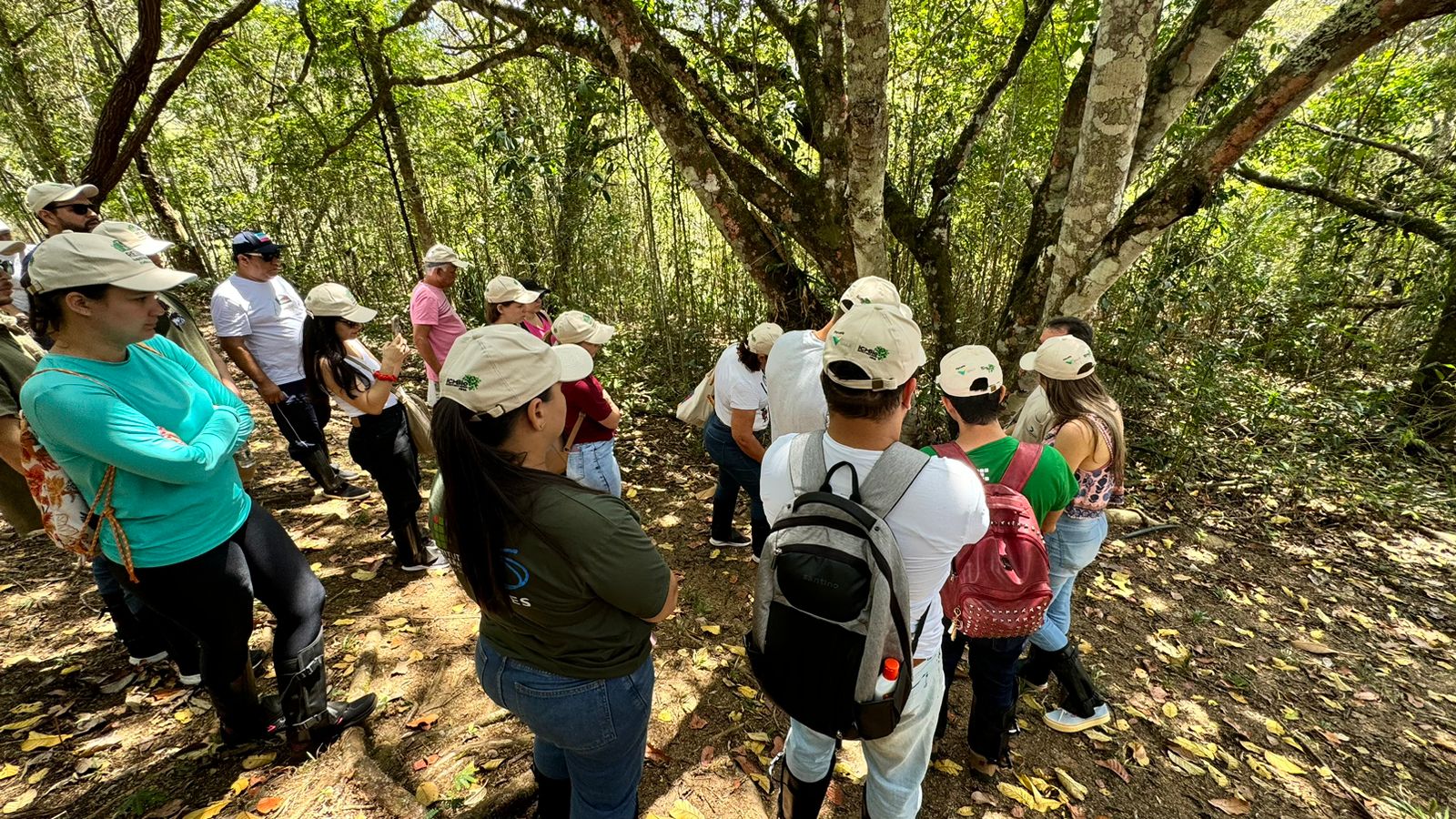 Visita Reserva Biológica Augusto Rusch 8